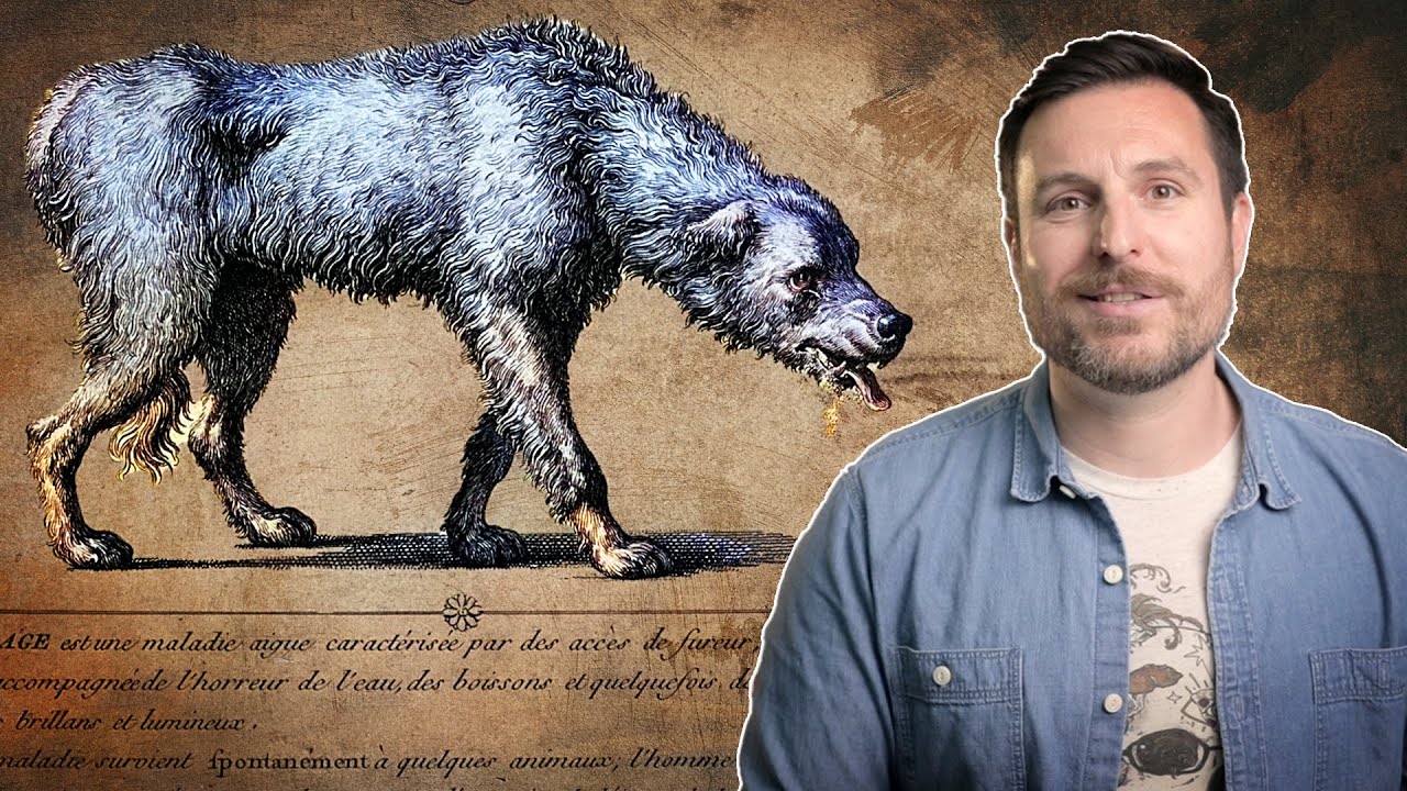 The Origin of the Rabies Vaccine