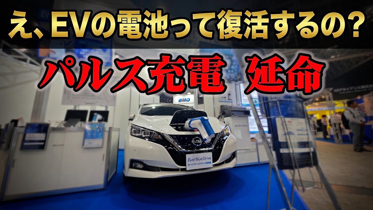 動画を見る