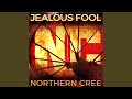 Jealous Fool