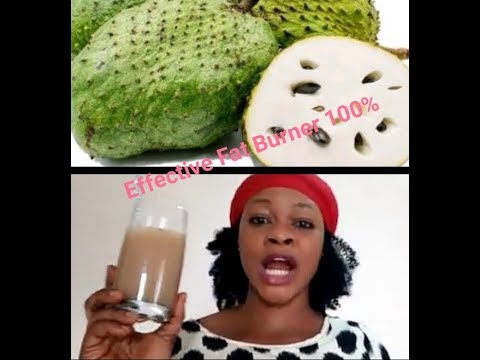 download lagu mp3 mp4 Does Soursop Help Lose Weight, download lagu Does Soursop Help Lose Weight gratis, unduh video klip Does Soursop Help Lose Weight