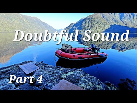 29 Day Solo Adventure in New Zealand | Catch n Cook Doubtful Sound | Part 4