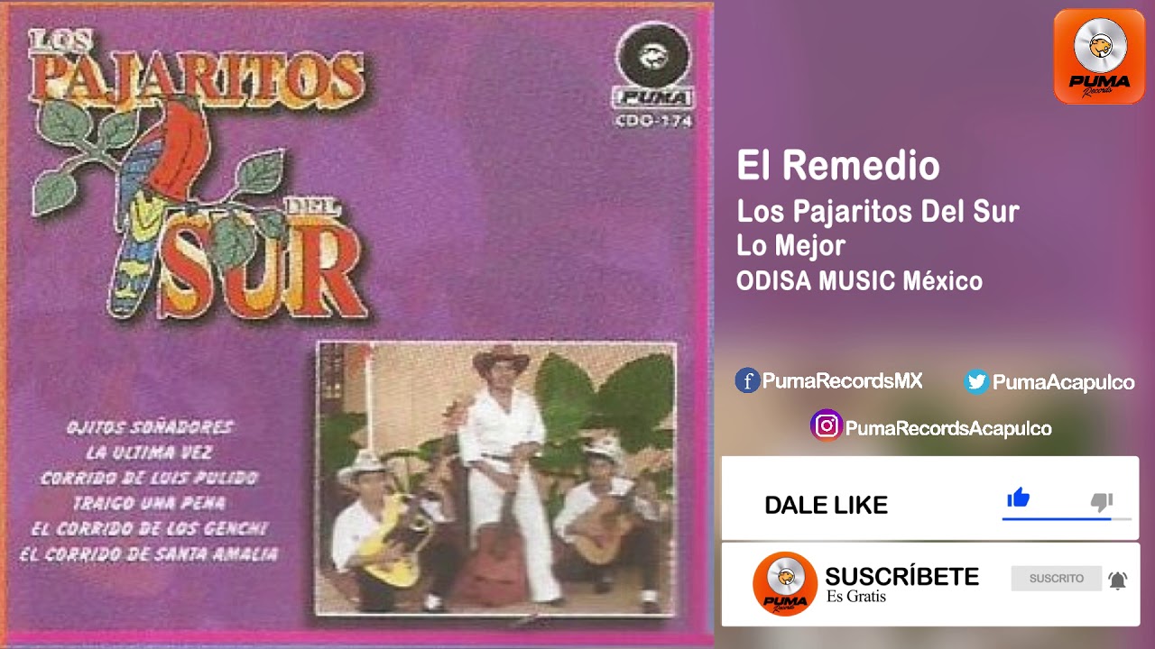 El Remedio - Los Pajaritos Del Sur - Lo Mejor