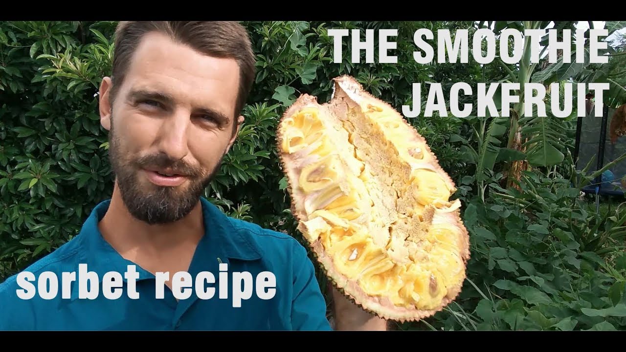 THE SMOOTHIE JACKFRUIT: easy prep and sorbet recipe