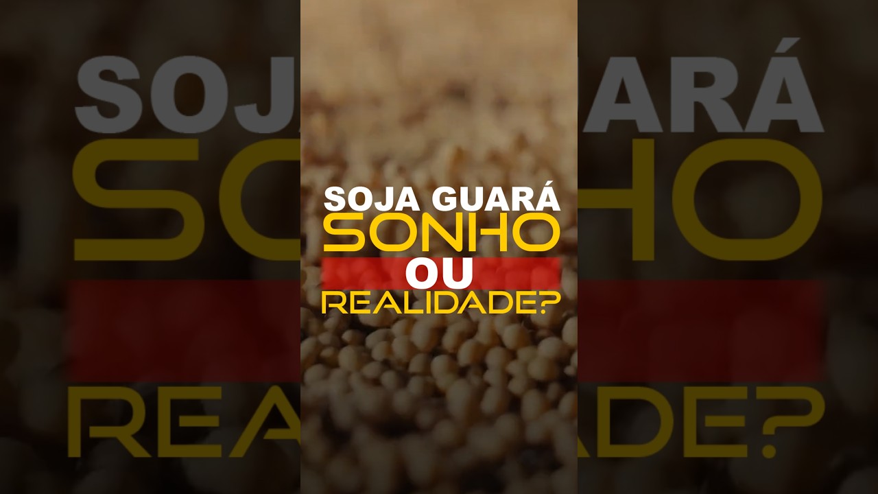 SOJA GUARÁ: SONHO OU REALIDADE?