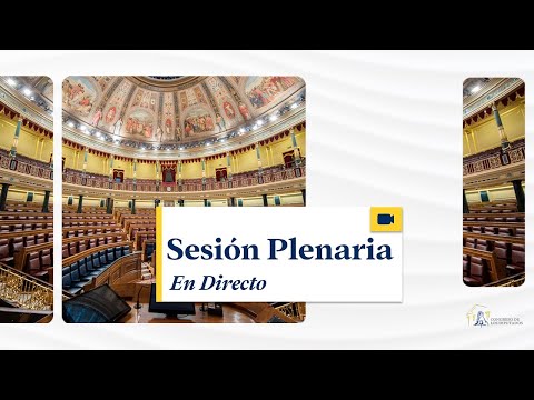 Sesión Plenaria (original) - 11/02/2026