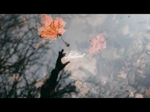 Grandyzer & Sinius - Disembody