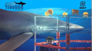 DIA 2 Expo Tiburon45