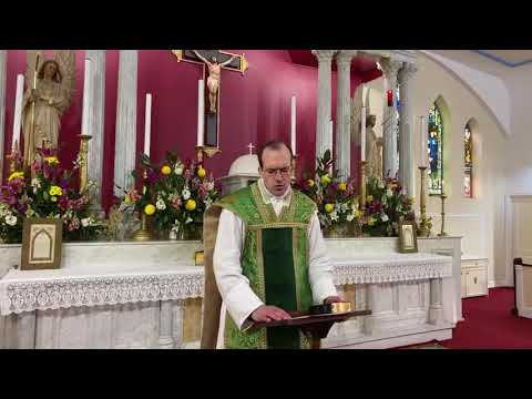 Sermon for the 12th Sunday after Pentecost, 23 August, 2020