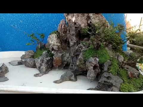 Tiểu Cảnh Nhỏ Lắp Đặt Tại Hải Phòng