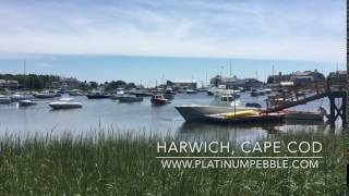 Best places to stay on Cape Cod | Platinum Pebble Boutique Inn