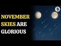November Sky Guide: Meteor Showers, Jupiter & Full Moon | WION Podcast