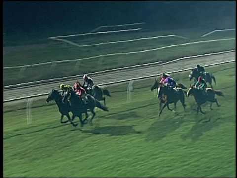 Galoppo 18/12/2016 - 5ª corsa - Premio Unire