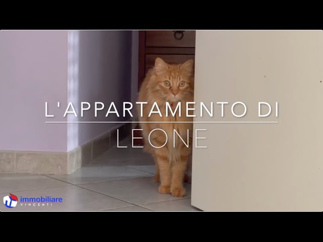 L'appartamento di Leone