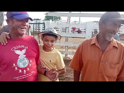 Feira de Gado de Sumé PB 09/03/2026