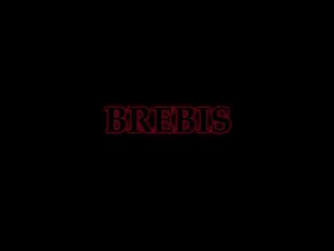 BREBIS TEASER (2024)