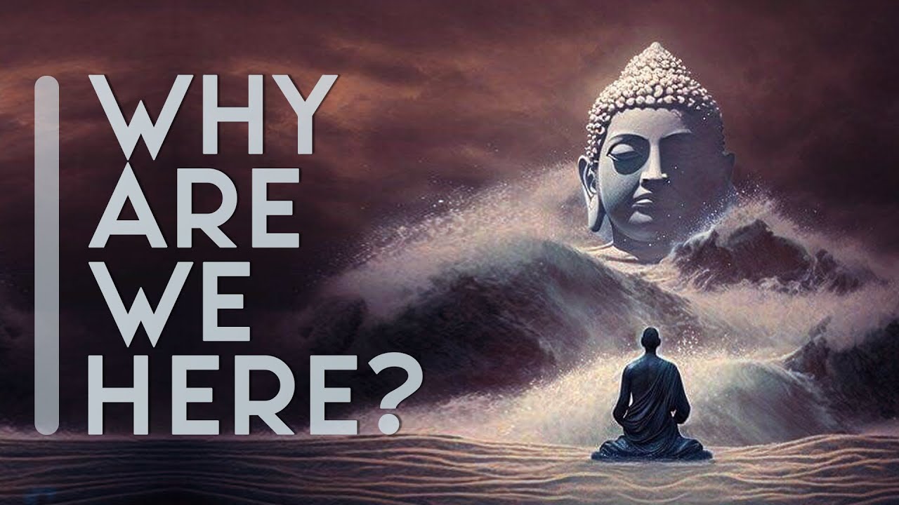 The Buddha's Answer: Why Are We Here?