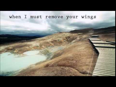 Nick Cave & The Bad Seeds - The ship song (lyrics)