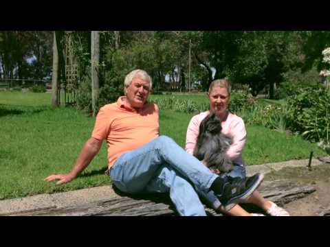 Sparrows In The Treetop - Premium Dog Kennel and Cattery, Melbourne.