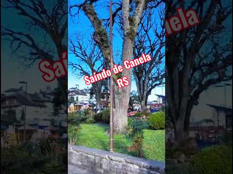 São três vídeos, .Canela,nova Petrópolis e caxias do sul. RS.  #viajar #shope #canela #novapetropoli