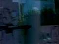 Broadcast Black Cat Music Video