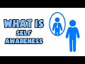 What is Self-Awareness | Explained in 2 min
