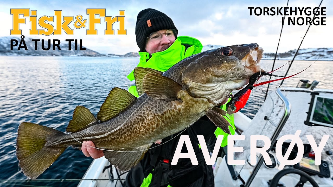 NY VIDEO: TORSKEHYGGE I NORGE – PÅ TUR TIL AVERØY