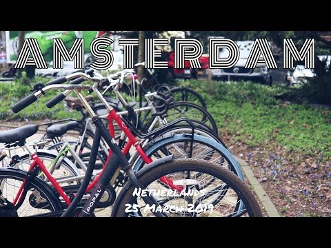 Darshit Jain Amsterdam montage