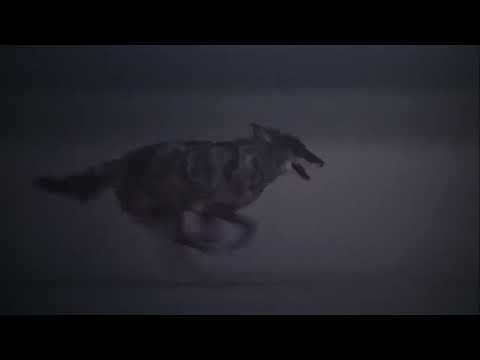 Opening scene of the movie desert heat or inferno