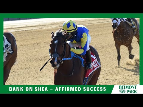 The Affirmed Success Stakes