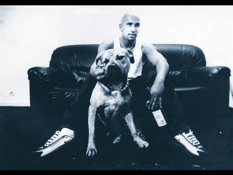 EXPRESSION DIREKT - RUDLION