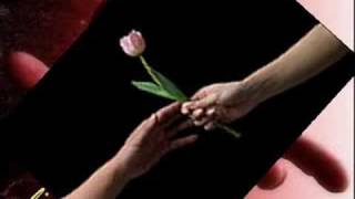 TUDO O QUE EU TE DOU - PEDRO ABRUNHOSA