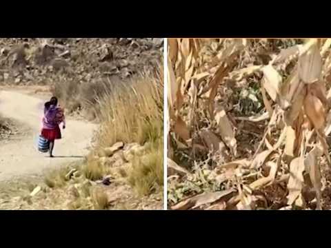 Cinco municipios de Cochabamba declaran desastre por sequía