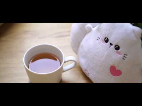 Миниатюра изображения товара Игрушка-грелка детская Мякиши Доктор Мякиш. Котенок / 514