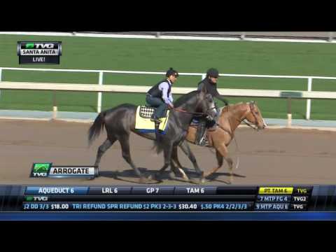 WORKOUT/ANALYSIS: Arrogate (1/21/17)