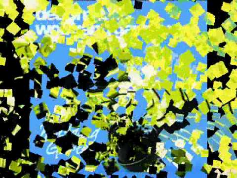 Deadmau5 vs Wolfgang Gartner Mix