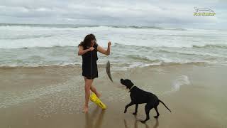 Fish Seeker - Latest Fishing Technology