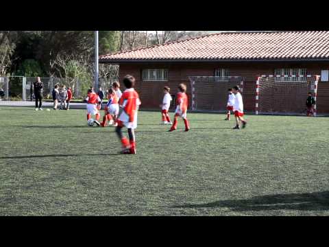 GORLIZ KARABIGANE 0355