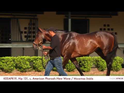 KEEAPR19, Hip 131, c, American Pharoah--New Wave + BREEZE / Wavertree Stable