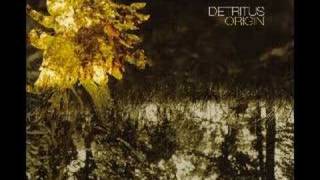 Detritus - Paper Cut