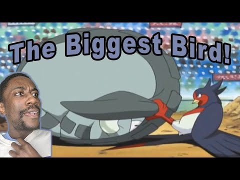 THAT BIRD IS STRONG! | Ash Vs Tyson AMV | Pokemon Ruby & Sapphire Reaction