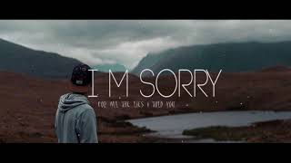 I&#39;m sorry - Richard Walters (Lyrics+Vietsub on description)