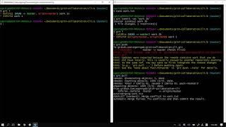 GIT4 - CLI 협업 4. push & pull