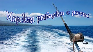 Геленджик рыбалка в открытое море