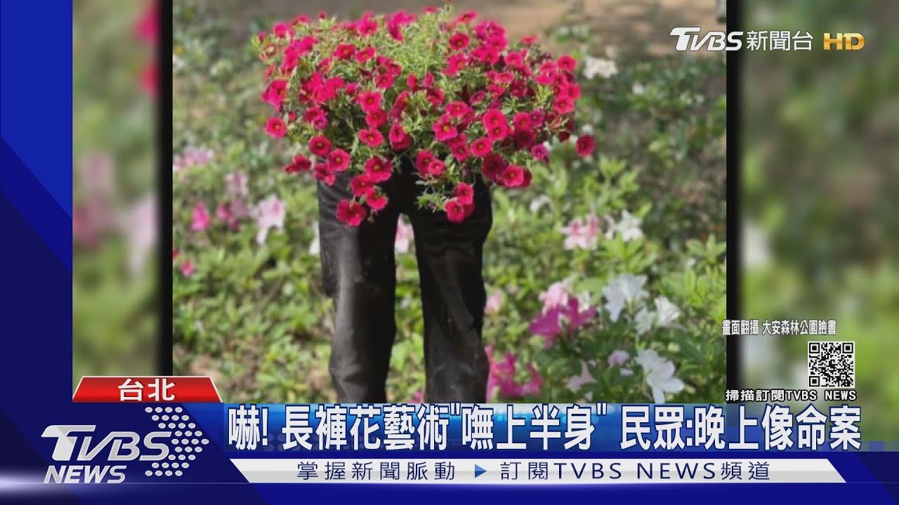 嚇!長褲花藝術「嘸上半身」 民眾:晚上像命案