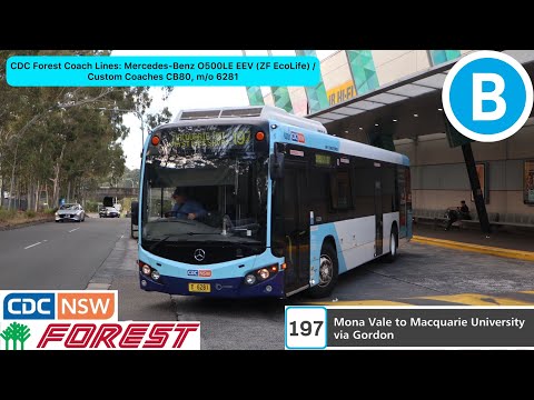 CDC Forest Coach Lines: Mercedes-Benz O500LE EEV (ZF EcoLife) / Custom Coaches CB80, m/o 6281