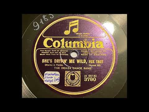 The Denza Dance Band (Ben Selvin) - She's drivin' me wild