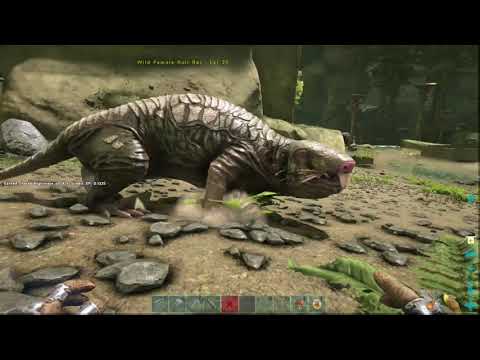 ARK Survival Evolved How to Tame a Roll Rat on Xbox One Simple Video
