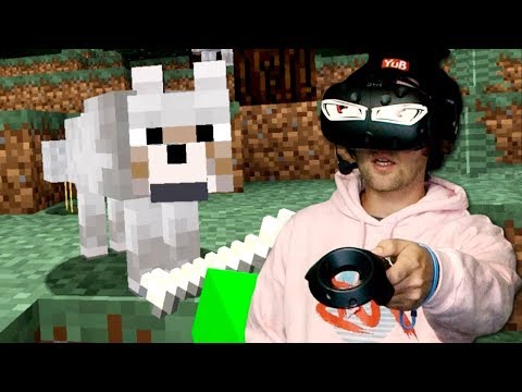 petting dogs in minecraft VR