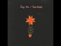 Scout Niblett - Miss My Lion