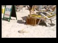Corona TV Commercial Hot Sand